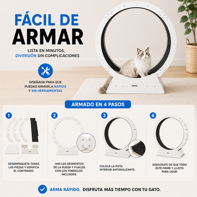 Corrora – La Rueda de Ejercicio que Deja a tu Gato Correr a Toda Velocidad en Casa