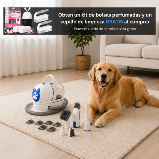 Calmora – Aspiradora de Grooming 6 en 1 que Cuida a tu Mascota como Tú lo Harías