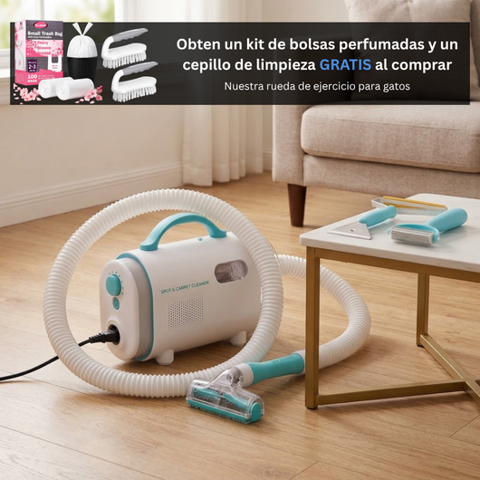 Pelvora – El Kit Completo que Elimina el Pelo de tu Mascota de Ropa, Muebles y Auto